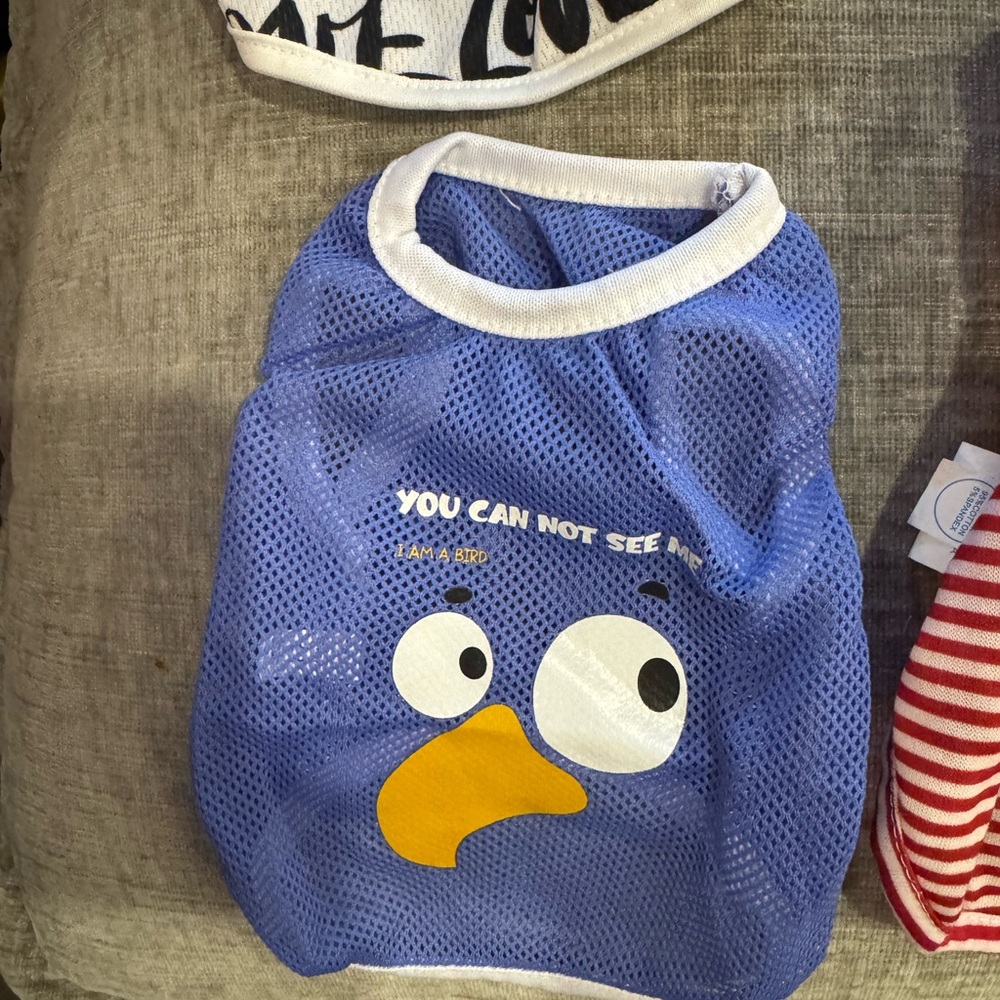 Blue Mesh Dog Shirt with Cartoon Face
